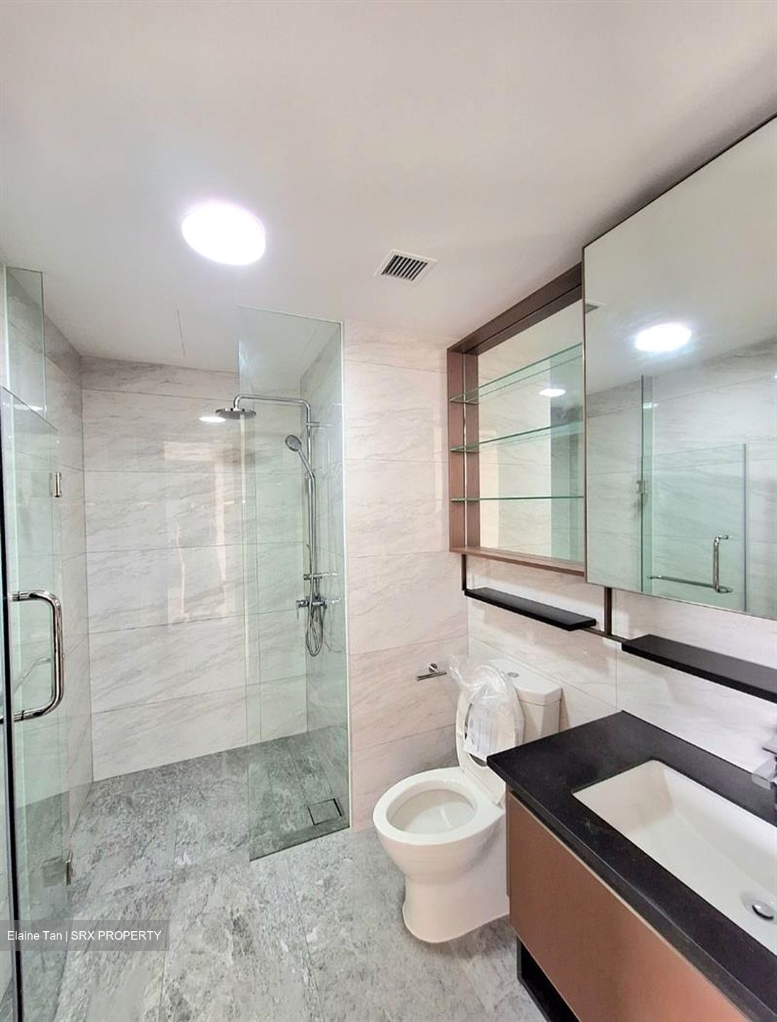 Normanton Park (D5), Apartment #592731291